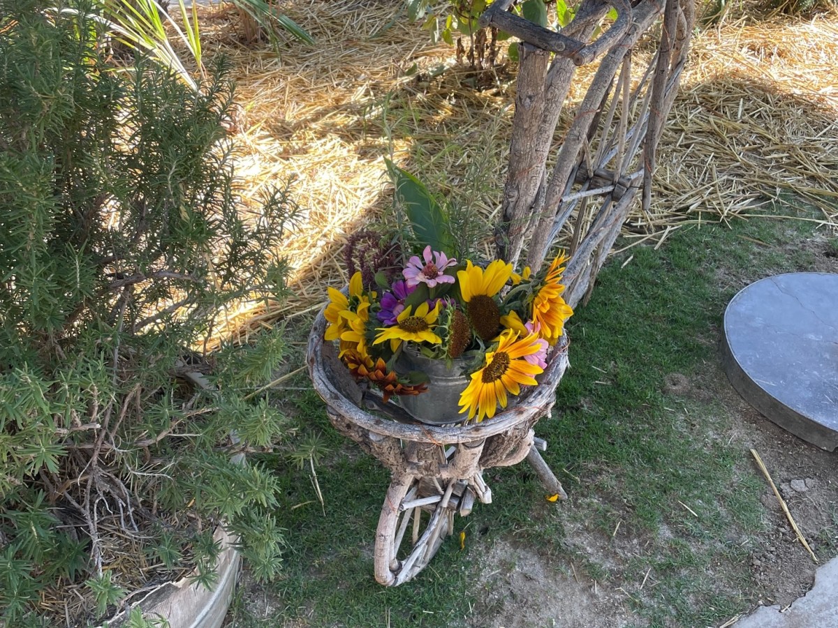 Flora Farms – San Jose Del&nbsp;Cabo