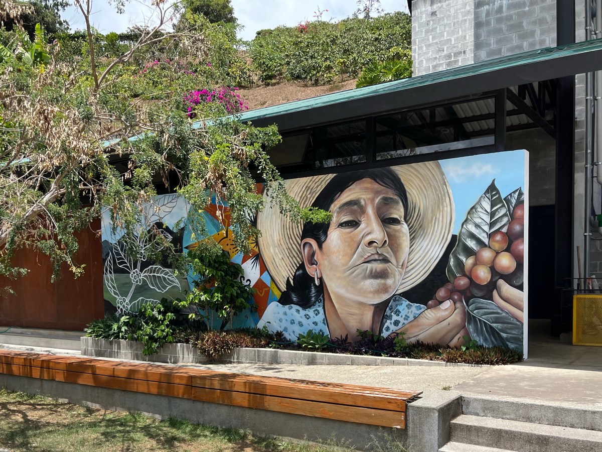 Hacienda Alsacia Coffee&nbsp;Farm