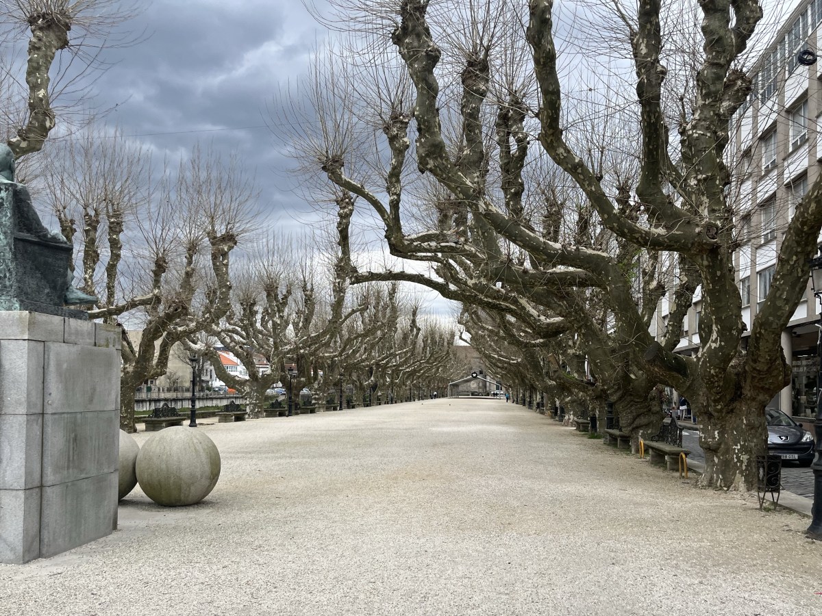 Day 5 – Caldas de Reis to&nbsp;Padrón