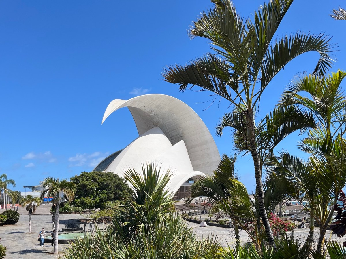Visiting Tenerife During Tropical Storm&nbsp;Therese