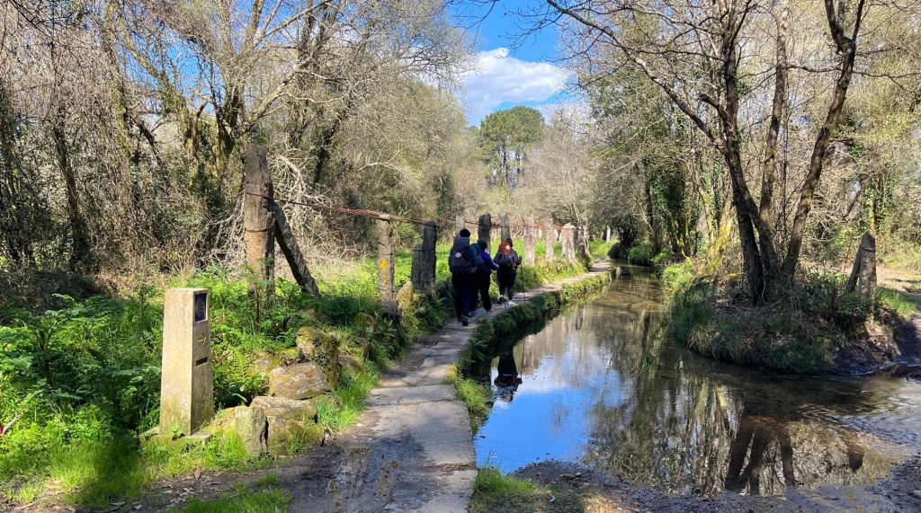 A serene pathway alongside a calm stream, bordered by lush greenery and trees, with hikers walking on the trail.